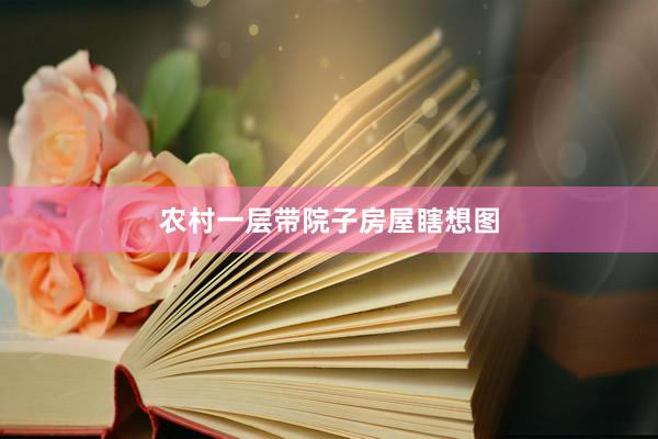 农村一层带院子房屋瞎想图
