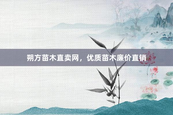 朔方苗木直卖网，优质苗木廉价直销