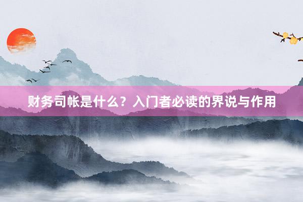 财务司帐是什么？入门者必读的界说与作用